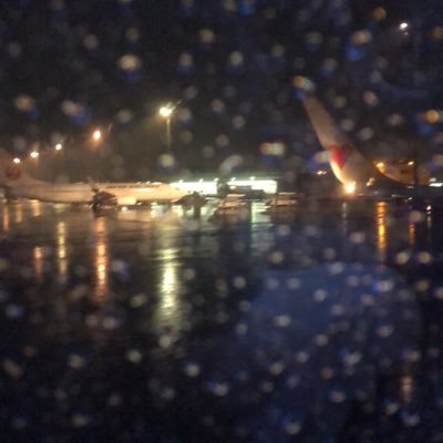 nurucky56's profile picture. 突然、加藤史帆さんが人生一の推しになる。シャツとめがねとキャップと仕事と午前中が好き。好きなものに真っ直ぐ。思ったことをなんとなく書く！