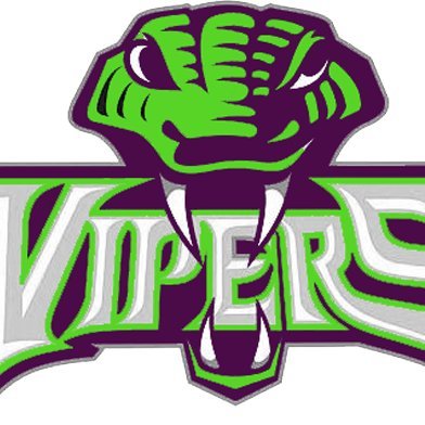 Just an average gamer. 
Viper Fam