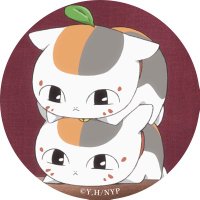 にゃんこ先生 (@gjutwjtdhdweyxc) 's Twitter Profile Photo