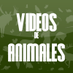 Videos de animales (@vianimales) Twitter profile photo Videos de animales (@vianimales) Twitter profile photo