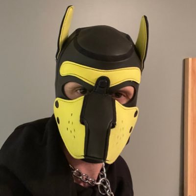sub puppy and kinky (ws, bb, toy, and more) - my handler is @sir_redd. - réserver au plus de 18 ans - dm for fun 🤩 #cumdump #gaymtl