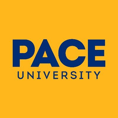 Powerful academics. Immersive experiences. Dedicated mentoring. Pace will get you where you want to go. Where you go is up to you. #PaceGoGetters