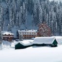 Aisha Dar - @AishaDar15 - Twitter