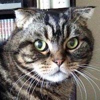 ✨トラ吉❤︎K✨様 リクエスト 3点 まとめ商品★おまとめ割引適用 FwEUEy8agAAemGB.jpg:large