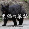 SeaShadow's profile picture. 海空好。関東海+北海道5年。旅行会社→DB系→制作会社→糸の切れた凧
小船1+特殊・PADI-OW・SAJ1・一陸海空特+三尼・二電工・危乙4・総旅取管
欲しいもの:ほんとうの時教える時計おもいを計る温度計。
好きな寝言:混沌と混乱と狂熱
ゞ場所:美瑛&阿嘉島