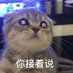 乌鱼子 (@suzixuan1) Twitter profile photo 乌鱼子 (@suzixuan1) Twitter profile photo