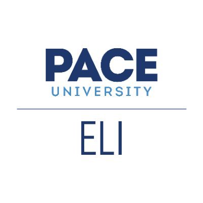 Providing multi-level Intensive and Academic English classes to foreign born students, visitors to the US, and working professionals at Pace University.