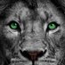 Henrique (@henriqu99066742) Twitter profile photo Henrique (@henriqu99066742) Twitter profile photo