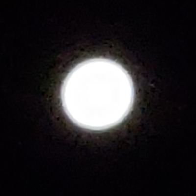 SJPI6's profile picture. versatil