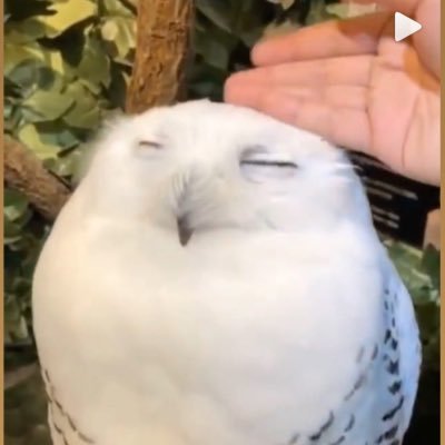 R E S Tさんのプロフィール画像