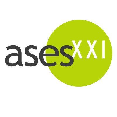 ASES XXI es la compañía líder en España en inspección y en caso de cumplimiento, certificación de Áreas de Juego e Instalaciones Deportivas.