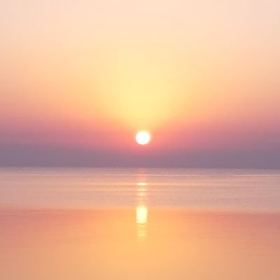 Prashan36289189's profile picture. 