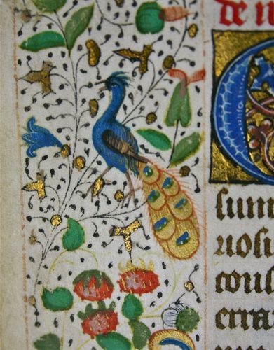 litscrip's profile picture. The spoken word is lost; the written word abides. A passion for manuscript illuminated medieval leaves & incunable leaves.