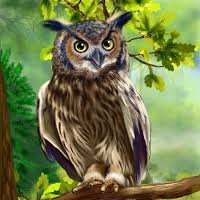 Elenoch84000294's profile picture. Kind tiger
