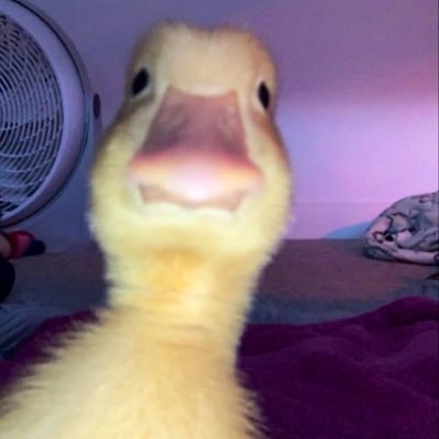 JackManlapaz's profile picture. 