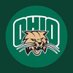 Debbie Perry (@bobcatbinge) Twitter profile photo Debbie Perry (@bobcatbinge) Twitter profile photo