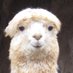 Chrisz 🐐🌸 (@krispeez) Twitter profile photo Chrisz 🐐🌸 (@krispeez) Twitter profile photo