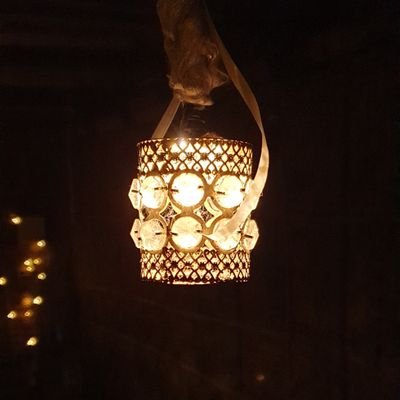 Dogoodonceagain's profile picture. Do good Get Better Do Best