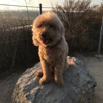 rosten62's profile picture. 