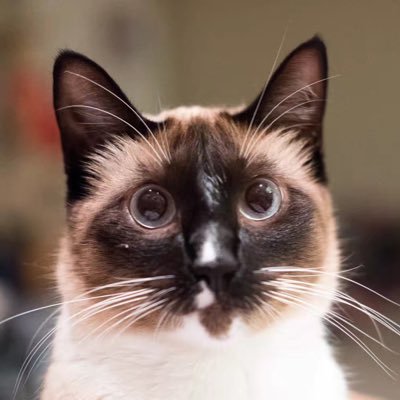 slowwalker919's profile picture. Used to be an engineer, a statistician. Now a cancer biologist hooked up with @danliuorg for life.