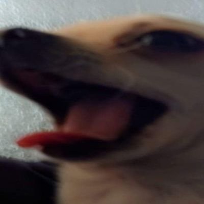 yeye6068's profile picture. 21. 18+ I mainly retweet, but am always down to chat