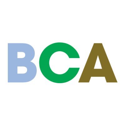 BCA Profile