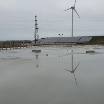 AHooikammer's profile picture. 