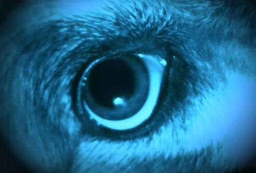 nbvisionquest's profile picture. Discovering the planetmaker Yeshua - one truth at a time, embracing moments of clarity and conviction to live this life yielded to Him ... the great I AM!