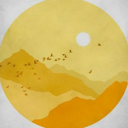 wanderingtrails's profile picture. 