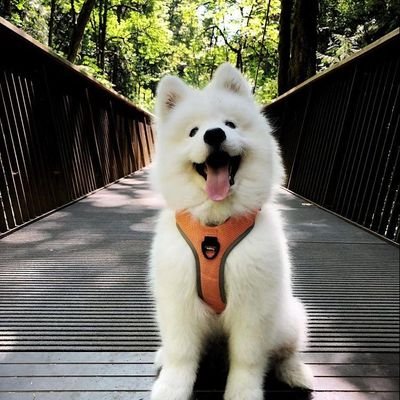 Sevan111_'s profile picture. 