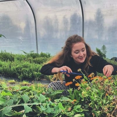 LovellPippa's profile picture. Chef/Owner Versa

🌿Isle Of Man
