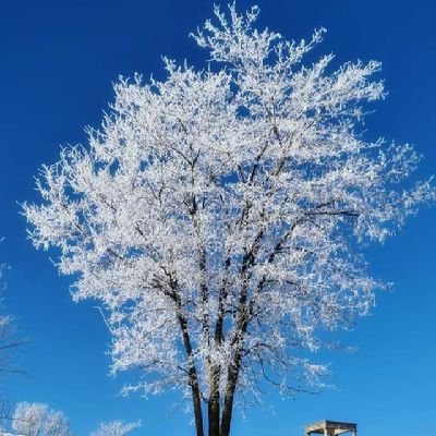 AnaGmez32115406's profile picture. El saber disfrutar de las pequeñas cosas, un viaje en buena compañía con un buen 🍷