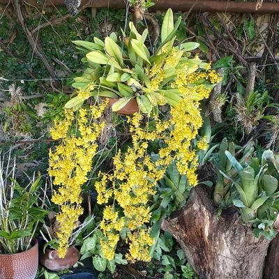 Neguecha07's profile picture. soy de la orilla brava...

I don't have a short temper...I just have a quick reaction to bullshit