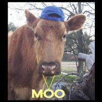 Mikey 🐮💩🐙🐧🐒🐸🐰(@MeesterMikey) 's Twitter Profile Photo