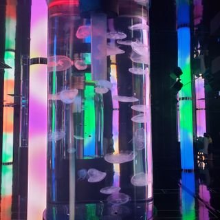 die_na_man's profile picture. the HAMMERED Vo.のダイナマンです。
好きな言葉は、「KIRIN クラシックラガー」です。