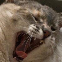 raymond (@raym0nd___x) 's Twitter Profile
