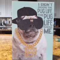 pugster (@pugster92475174) 's Twitter Profile