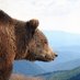 Clear Creek Elementary School (@clearcreekcubs) Twitter profile photo Clear Creek Elementary School (@clearcreekcubs) Twitter profile photo
