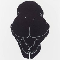 Solxr (@solar_sel) 's Twitter Profile