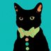 El gato político (@elgatopolitico_) Twitter profile photo El gato político (@elgatopolitico_) Twitter profile photo