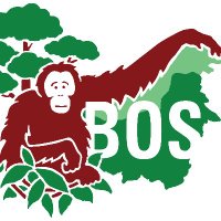 Borneo Orangutan Survival USA(@BOSUSA2) 's Twitter Profile Photo