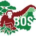 Borneo Orangutan Survival USA (@BOSUSA2) Twitter profile photo