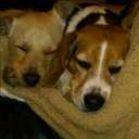 Nathan koontz - @nnkoontz - Twitter