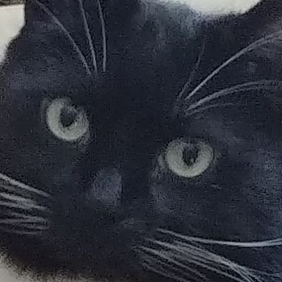 isitpolitick's profile picture. My houseplants are doing OK. 

#EndCitizensUnited and by the way Advertising & Marketing To Children is Brainwashing