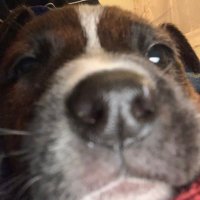 Kirby D. Buu (@buukirby) 's Twitter Profile