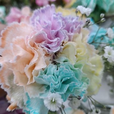 akidukikdk's profile picture. 古のオタク。日常が偏っている。ジャンルはあまり問わないがもちろん偏っている。雑多に見たり喋ったりしている。