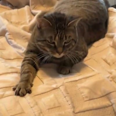 binkygirl420's profile picture. listen some people on the internet are bad and i like discussing them 🤧