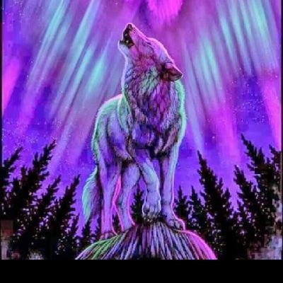 bikerbabe2318's profile picture. 