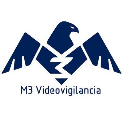 Servicios de instalación, venta y mantenimiento de equipos de videovigilancia.