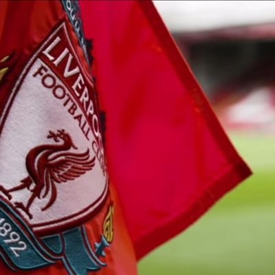 qite009's profile picture. 